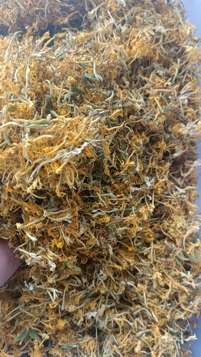 精品自然晒干金银花