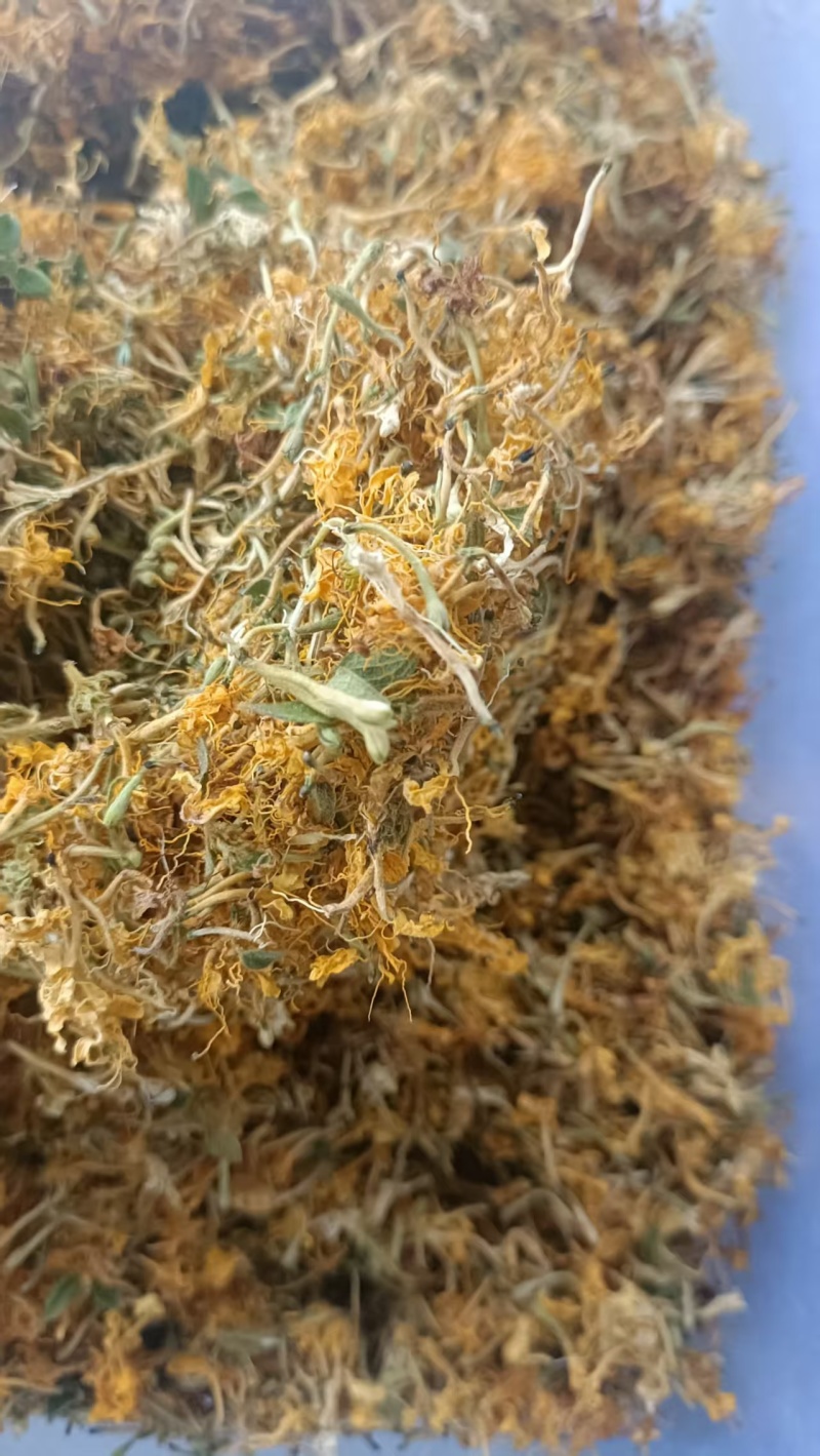 精品自然晒干金银花