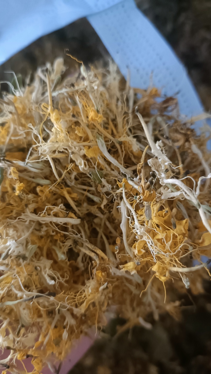 精品自然晒干金银花