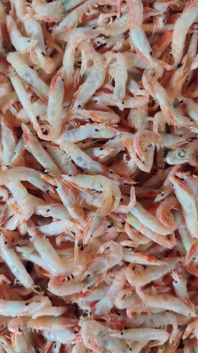 麦穗虾钩子虾蹦蹦虾（纯淡干大个头）加工批发一手货源好货