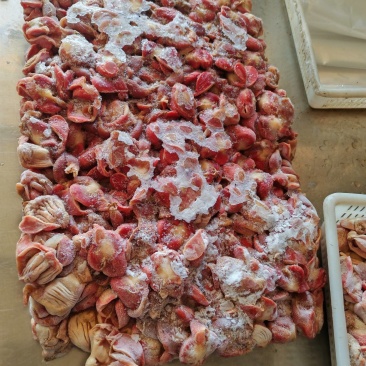 纯干冷鲜鸡胗蛋鸡胗肉鸡胗精品装鸡胗