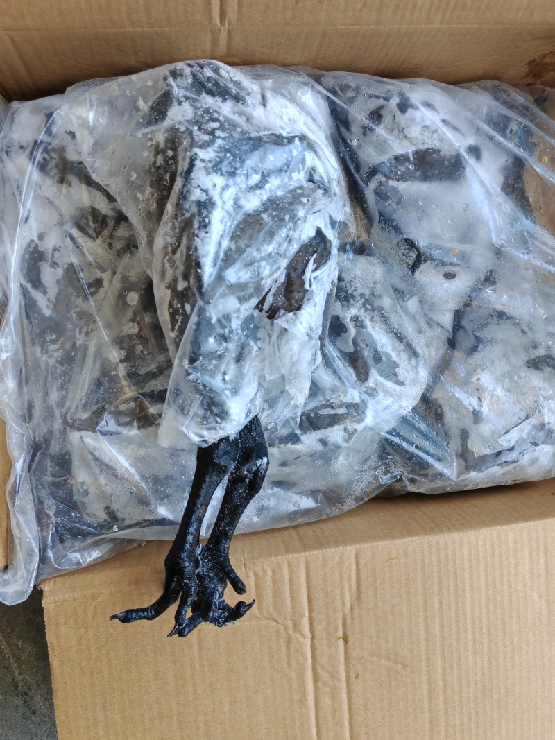 乌鸡乌骨鸡乌鸡白条纯干无水乌鸡冻品乌鸡