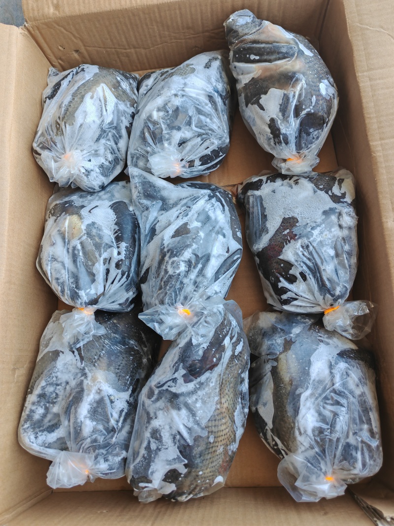 乌鸡乌骨鸡乌鸡白条纯干无水乌鸡冻品乌鸡