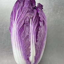 紫白菜