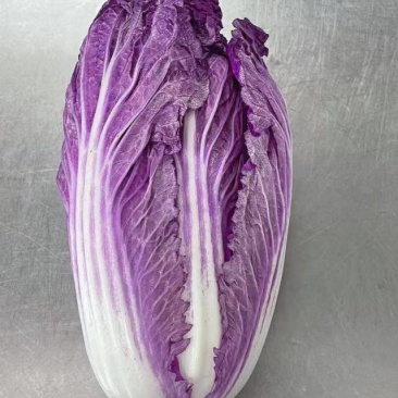 紫白菜