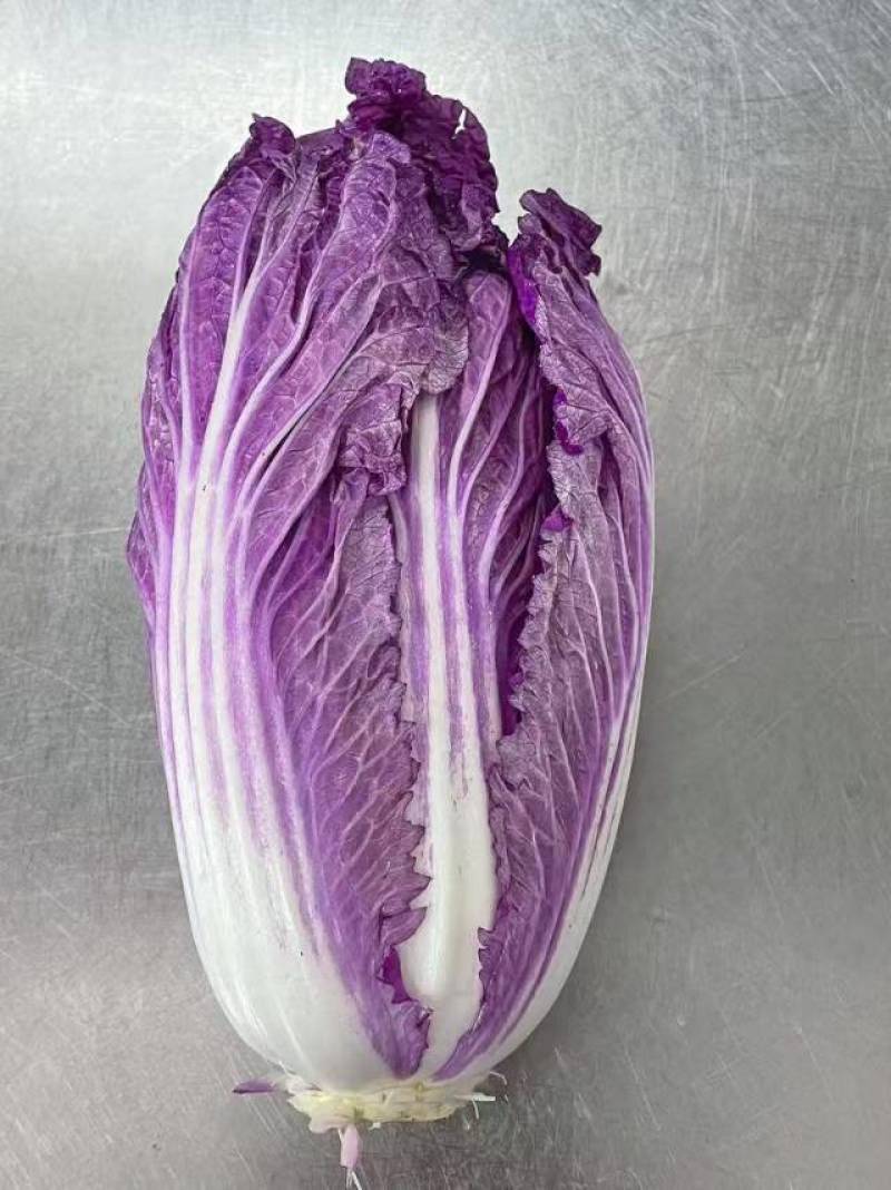 紫白菜