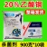 20%乙酸铜杀菌剂苗期猝倒病细菌病害根部病害杀菌剂