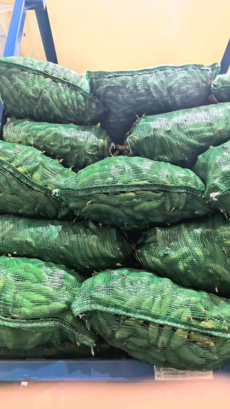 当季头茬青蚕豆豆粒肥大粉糯食堂商超优选