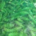 当季头茬青蚕豆豆粒肥大粉糯食堂商超优选