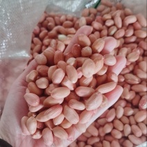 花生花生米带壳去壳鲁花白沙过筛色选