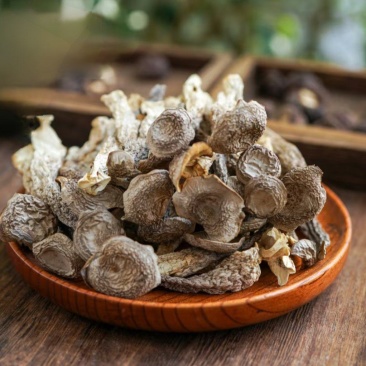 源头工厂鹿茸菇干货批发散装整箱供货滋补菌菇礼品货源稳
