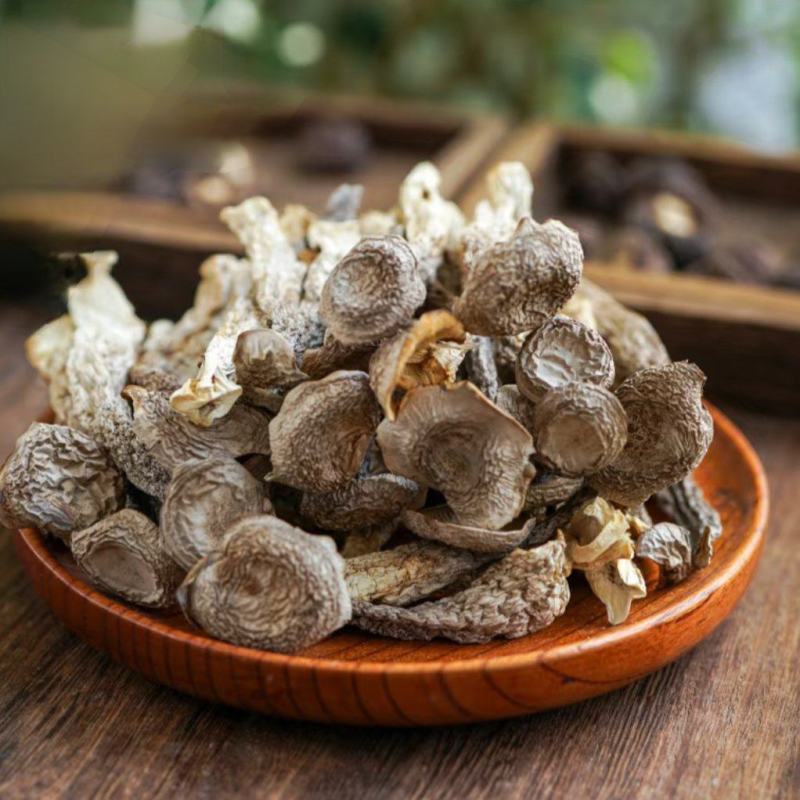 源头工厂鹿茸菇干货批发散装整箱供货滋补菌菇礼品货源稳