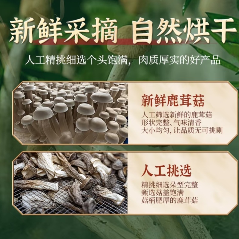 源头工厂鹿茸菇干货批发散装整箱供货滋补菌菇礼品货源稳
