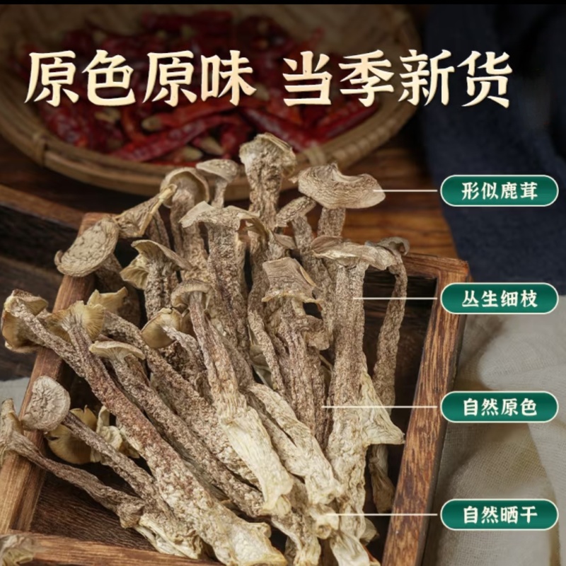 源头工厂鹿茸菇干货批发散装整箱供货滋补菌菇礼品货源稳