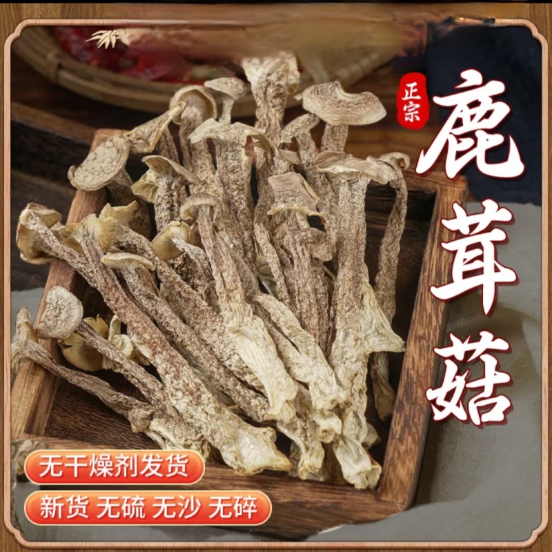 源头工厂鹿茸菇干货批发散装整箱供货滋补菌菇礼品货源稳