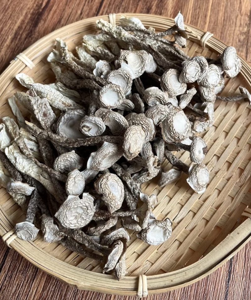 源头工厂鹿茸菇干货批发散装整箱供货滋补菌菇礼品货源稳