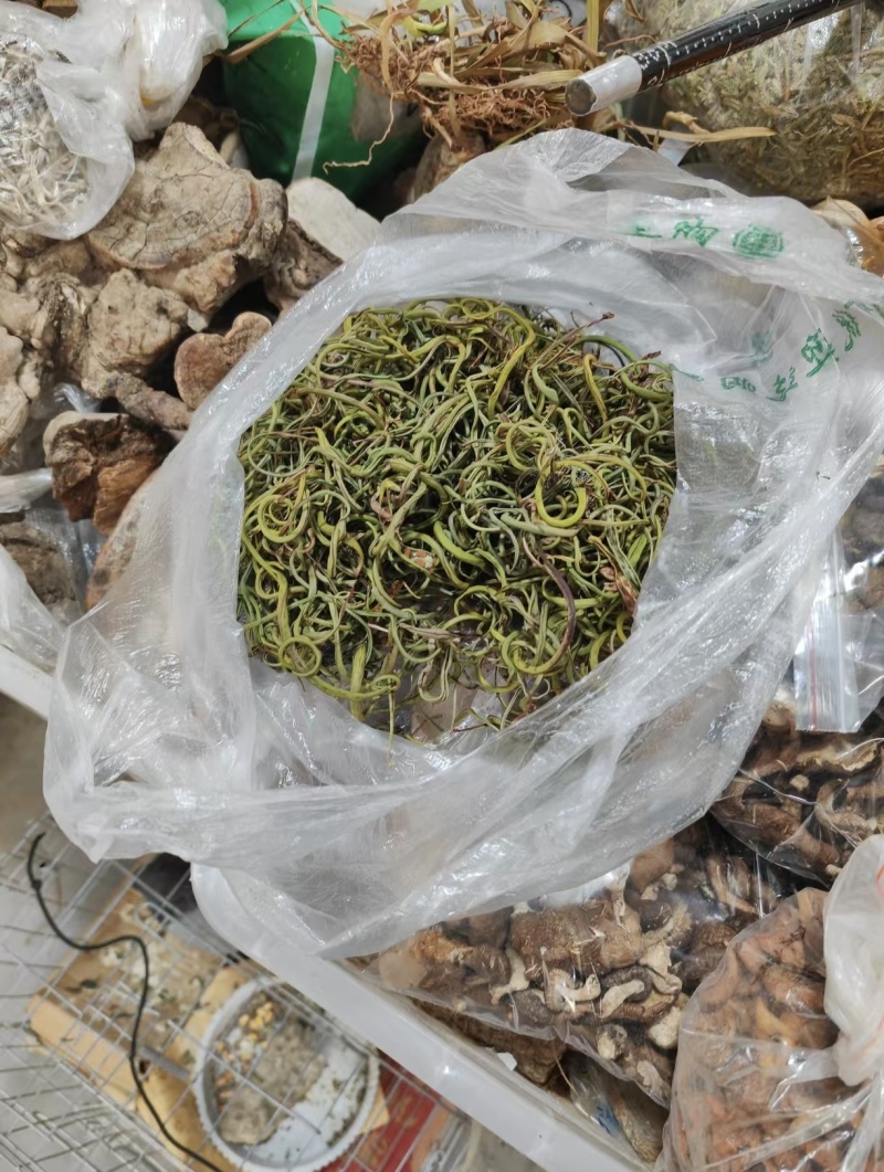 四川化石草一手货源量大从优
