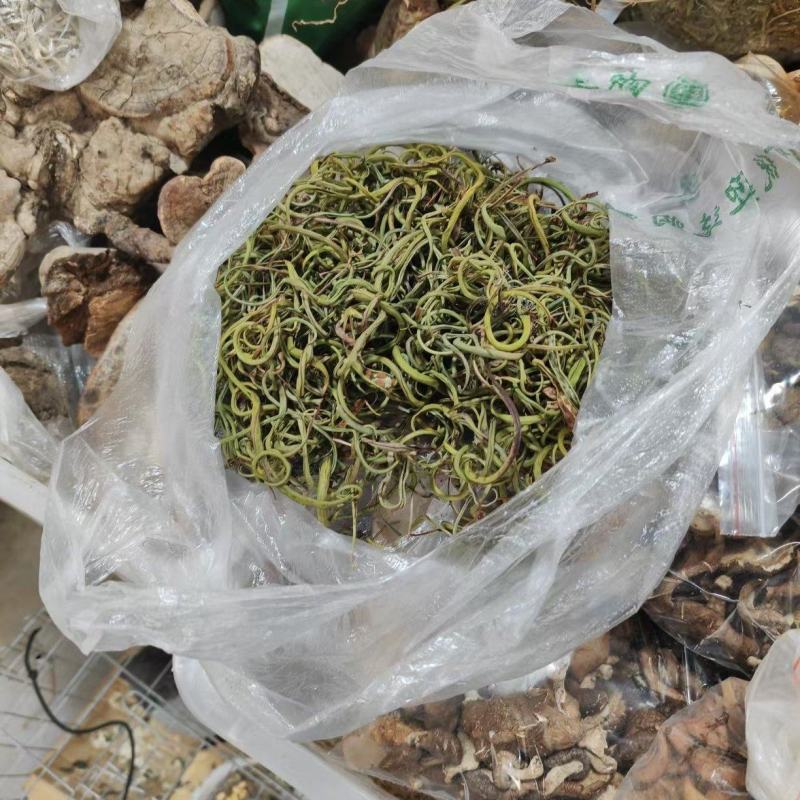 四川化石草一手货源量大从优