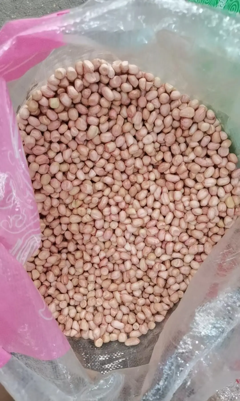 花生米以鲁花白沙为主，过筛精选精品鲁花花生米大白沙花生米