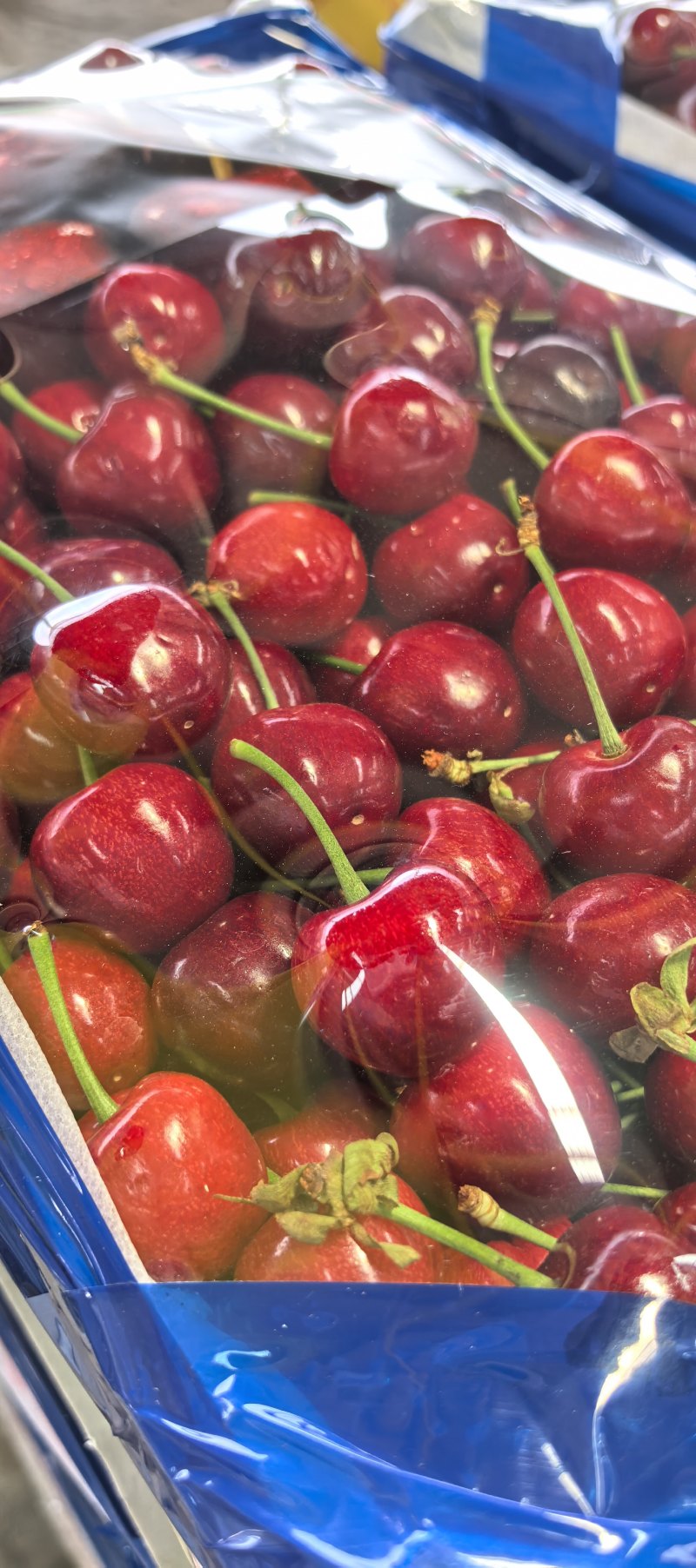 天水美早樱桃产地直发量大从优对接市场档口商超一条龙服务