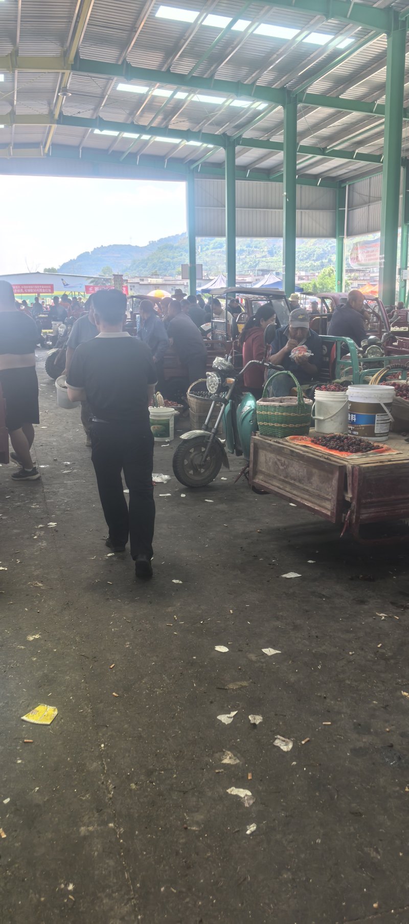 天水美早樱桃产地直发量大从优对接市场档口商超一条龙服务