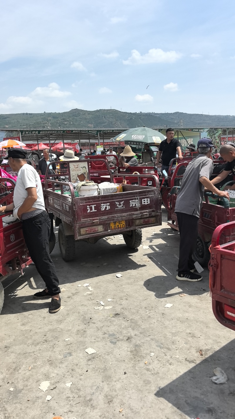 天水美早樱桃产地直发量大从优对接市场档口商超一条龙服务