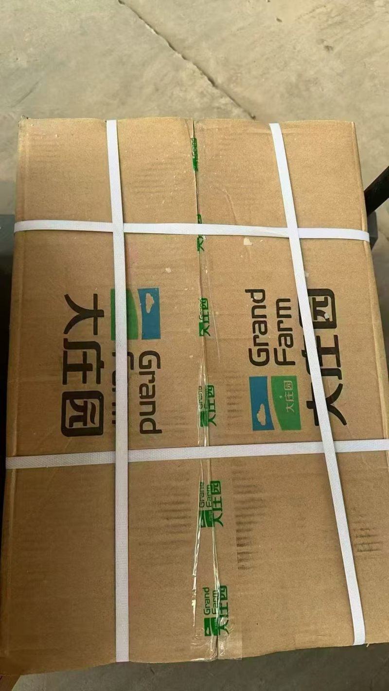 大庄园羊槽骨羊方肩