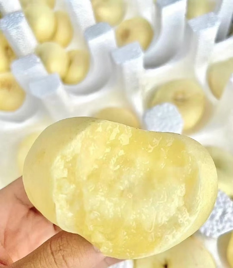 奶油白桃对接市场电商大量有货口感好欢迎私聊好货产地直发