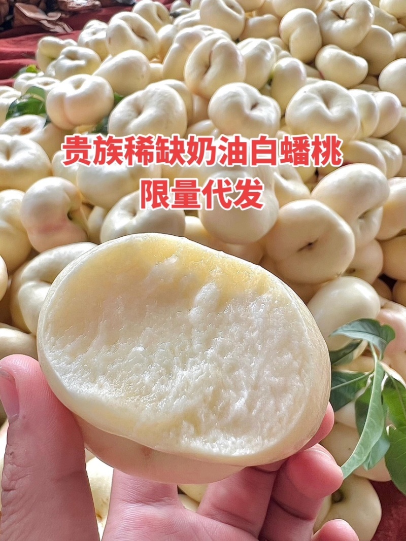 奶油白桃对接市场电商大量有货口感好欢迎私聊好货产地直发