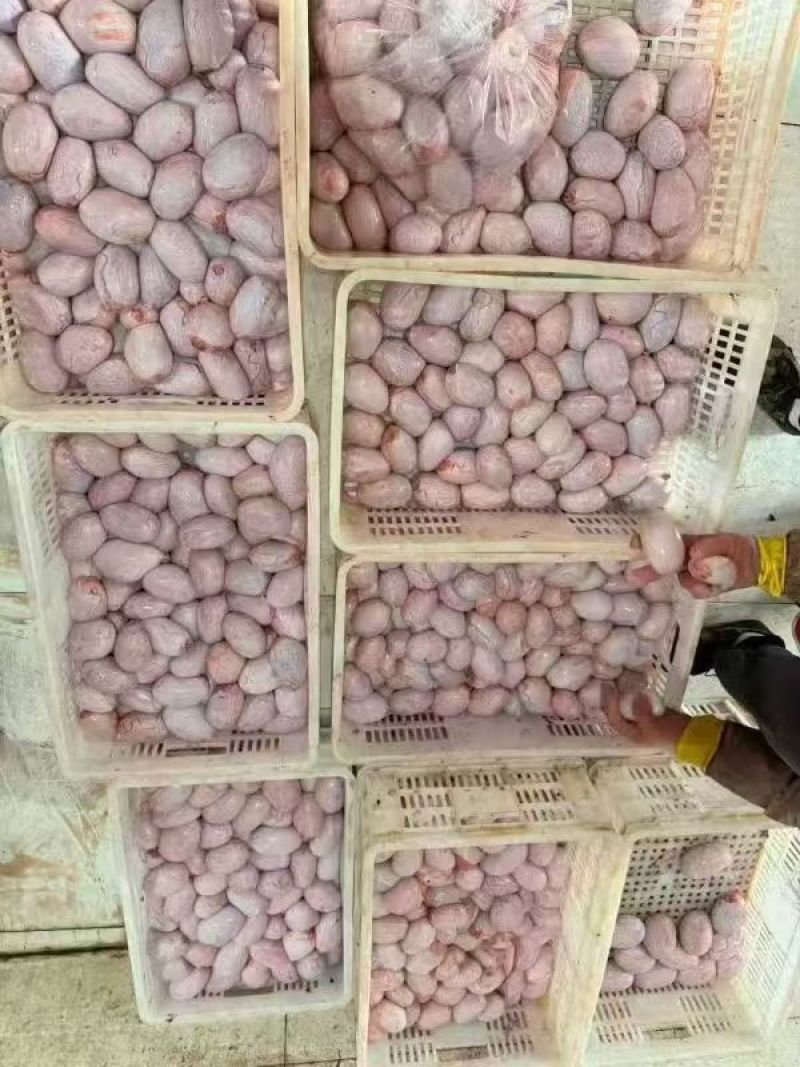去皮羊宝
