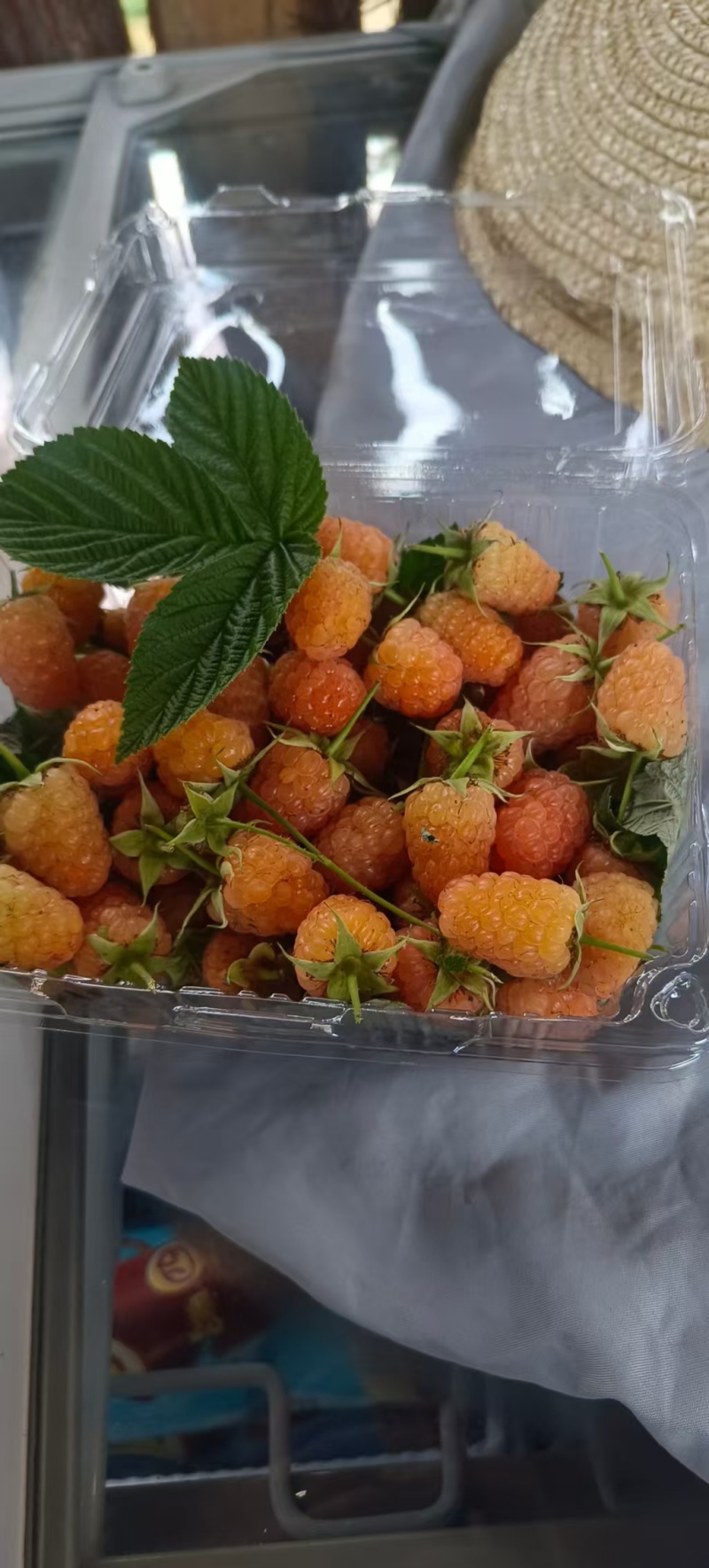 云南树莓果自家种植一件代发市场水果店商超