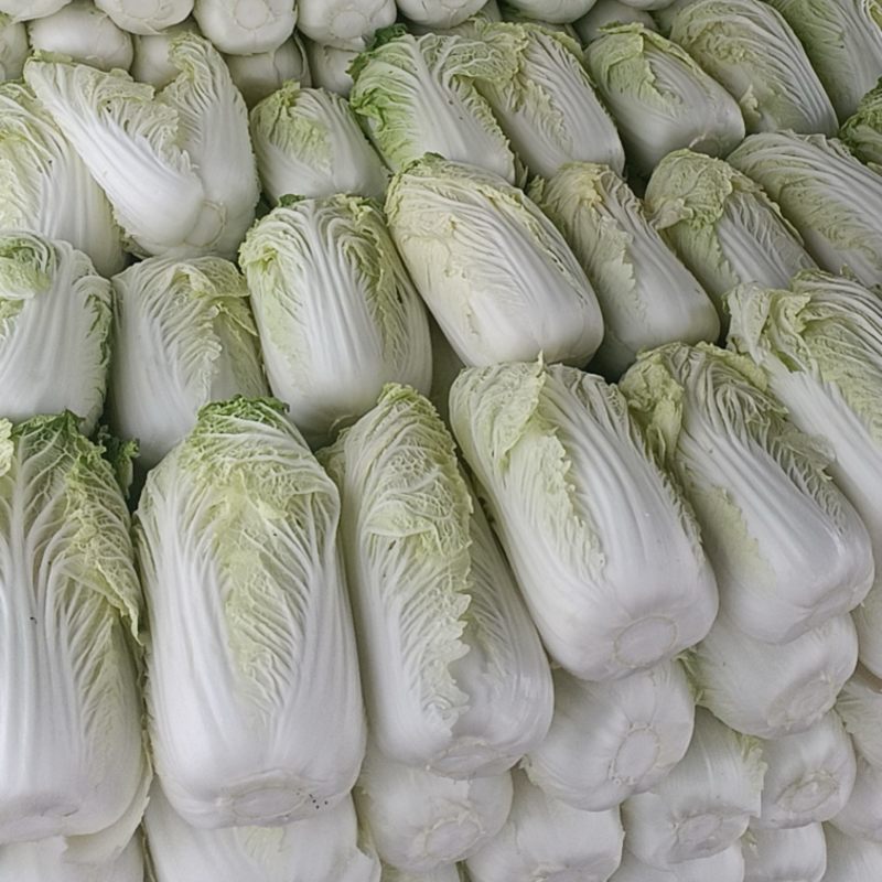 黄心娃娃菜