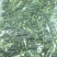 青菜馅，工厂直发，有质有量…