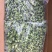 青菜馅，工厂直发，有质有量…