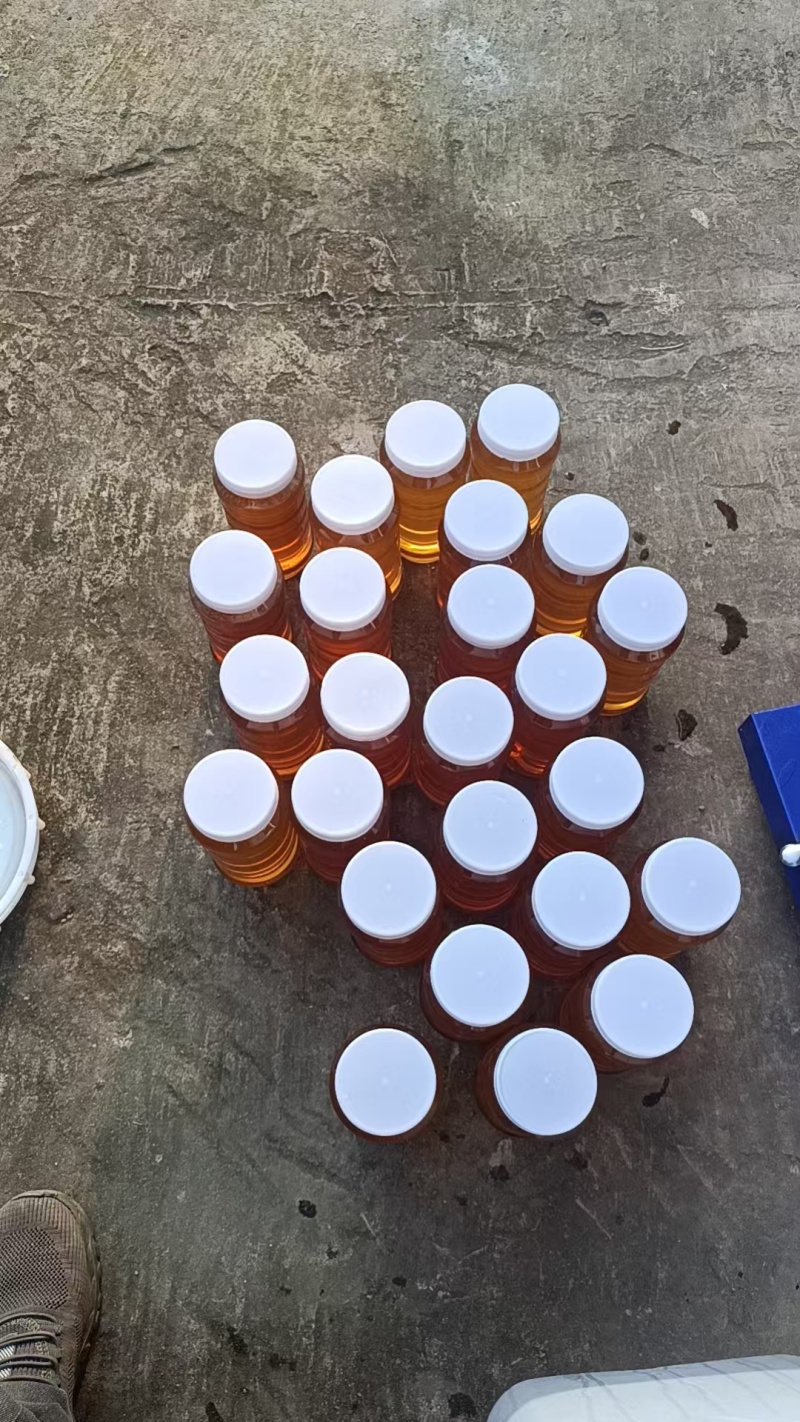 江西赣州深山养殖生态中蜂蜜一件代发量大价格可谈！