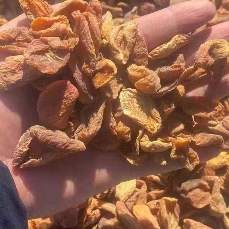 新疆伊犁进口做杏酱的杏子皮自然凉晒干杏子皮