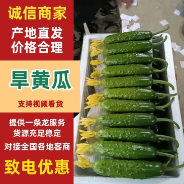 专业的事专业的人来干，从业十年的老代收带你拉黄瓜挣钱
