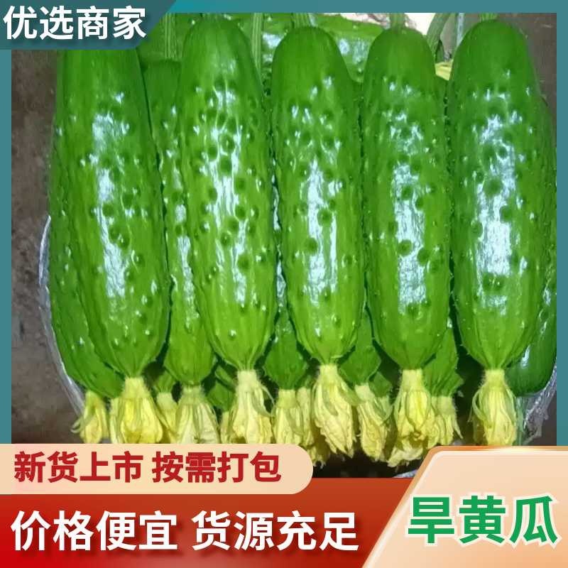 专业的事专业的人来干，从业十年的老代收带你拉黄瓜挣钱