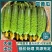 精品旱黄瓜常年代收诚信经营，专业团队按需挑选一手货源产地