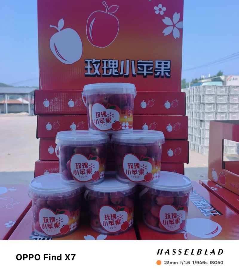 鸡心果，精装，通货都可以，欢迎广大客户前来预订