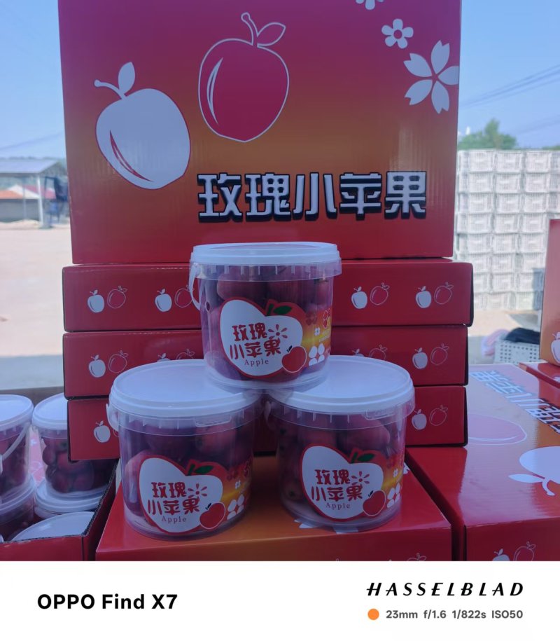 鸡心果，精装，通货都可以，欢迎广大客户前来预订