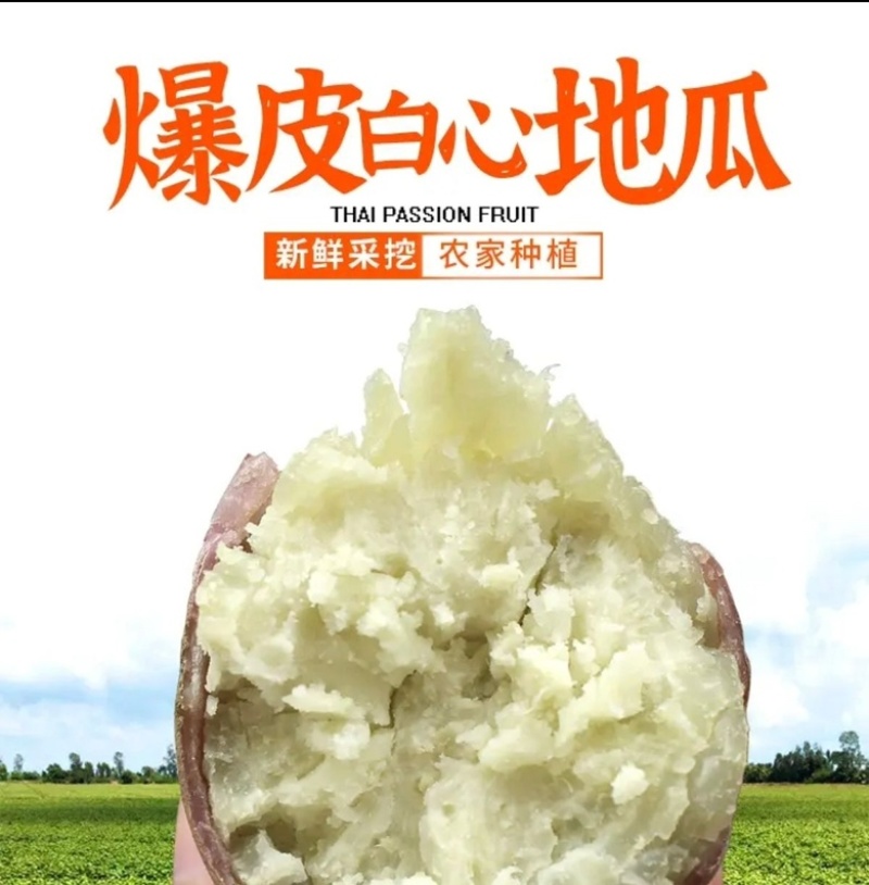 精品板栗薯，粉糯香甜，口感细腻，老少皆宜