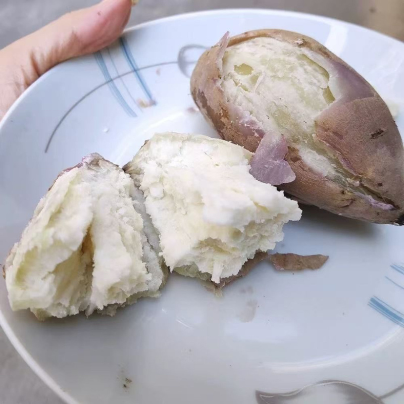 精品板栗薯，粉糯香甜，口感细腻，老少皆宜