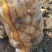 新鲜土豆大量上市产地直发现货供应欢迎采购