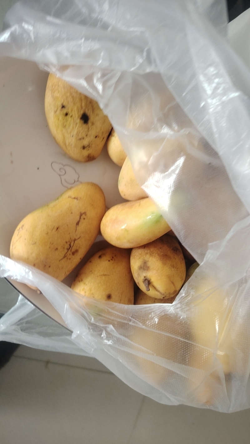 新鲜土豆大量上市产地直发现货供应欢迎采购