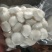 没泡水真空干白马蹄