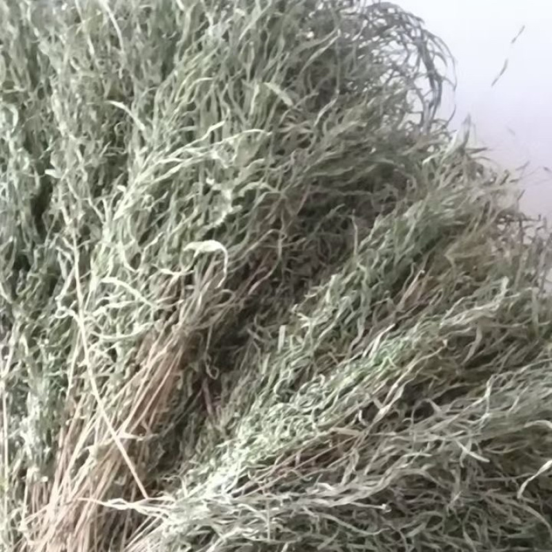 凤尾草鸡爪草金鸡尾干货