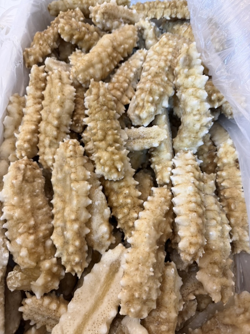 黄刺黄玉刺王海参规格全团购好品。