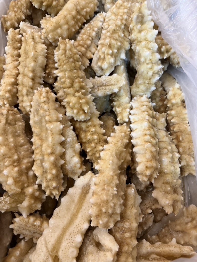 黄刺黄玉刺王海参规格全团购好品。