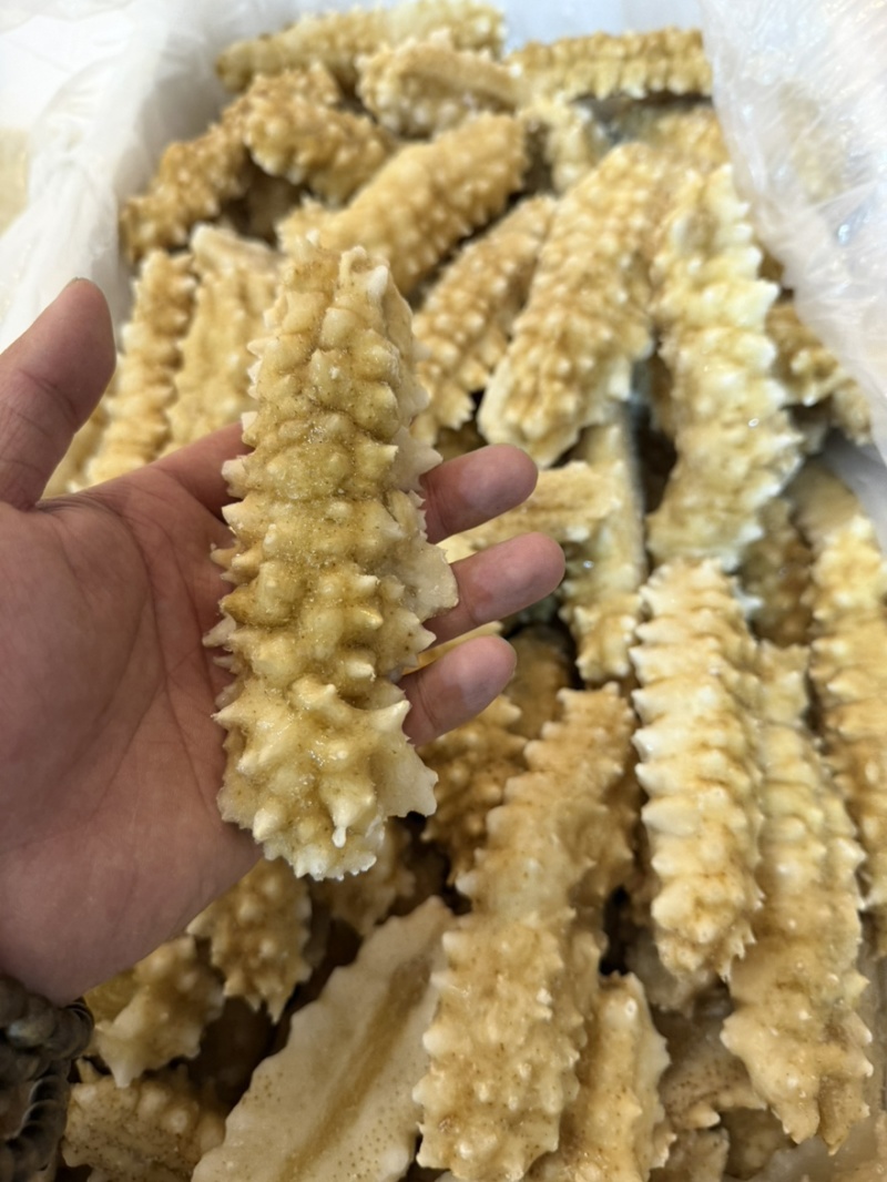 黄刺黄玉刺王海参规格全团购好品。